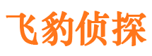 东海侦探公司